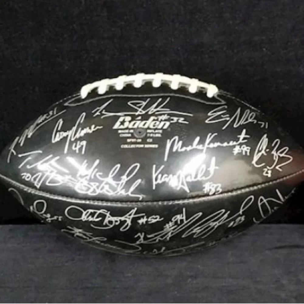 🏈 Baden Collector Series Souvenir Collectable Panthers NFL Football